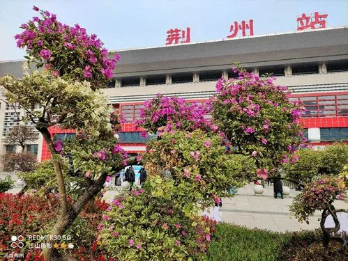 深圳到荆州物流公司|深圳到荆州专线（全/境-直送）