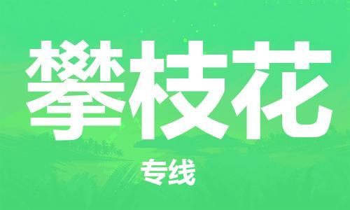深圳到攀枝花物流专线-深圳到攀枝花货运-回程车运输-