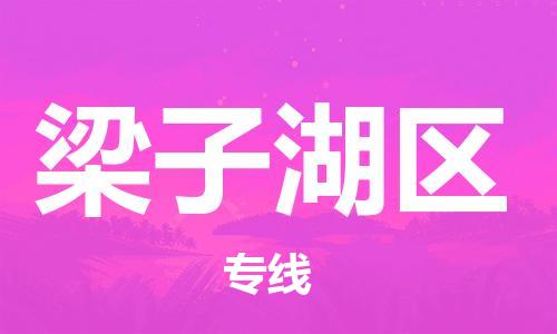 深圳到梁子湖区电动车托运-深圳到梁子湖区电动车专线-选择物流不拆电池