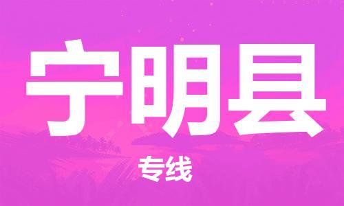 深圳到宁明县电动车托运-深圳到宁明县电动车专线-选择物流不拆电池