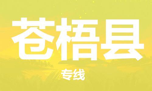 深圳到苍梧县电动车托运-深圳到苍梧县电动车专线-选择物流不拆电池