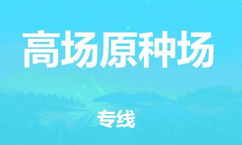 常平镇到高场原种场物流专线-专业从事常平镇至高场原种场货运