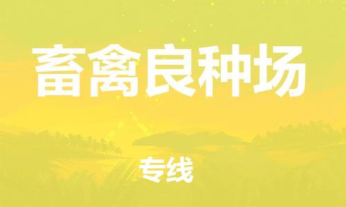 惠阳区到畜禽良种场物流专线-惠阳区到畜禽良种场货运专属团队