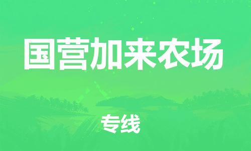 常平镇到国营加来农场物流专线-助您轻松发货常平镇至国营加来农场货运